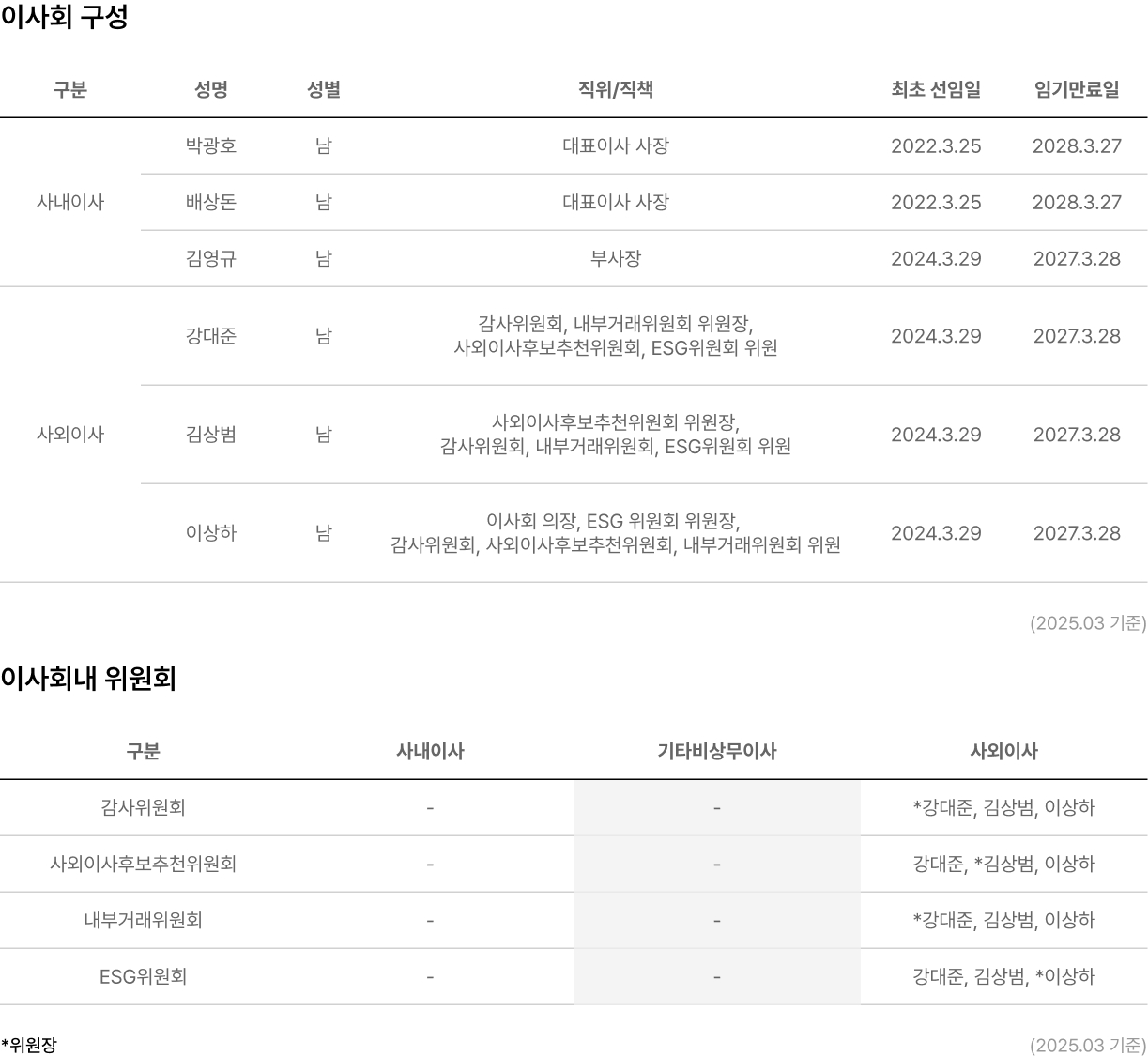 이사회 구성, 이사회내 위원회