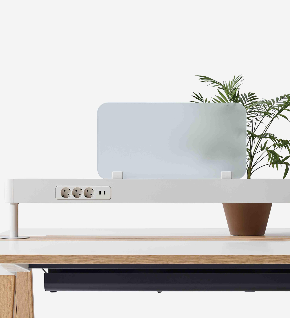 Spine Accessory System_2