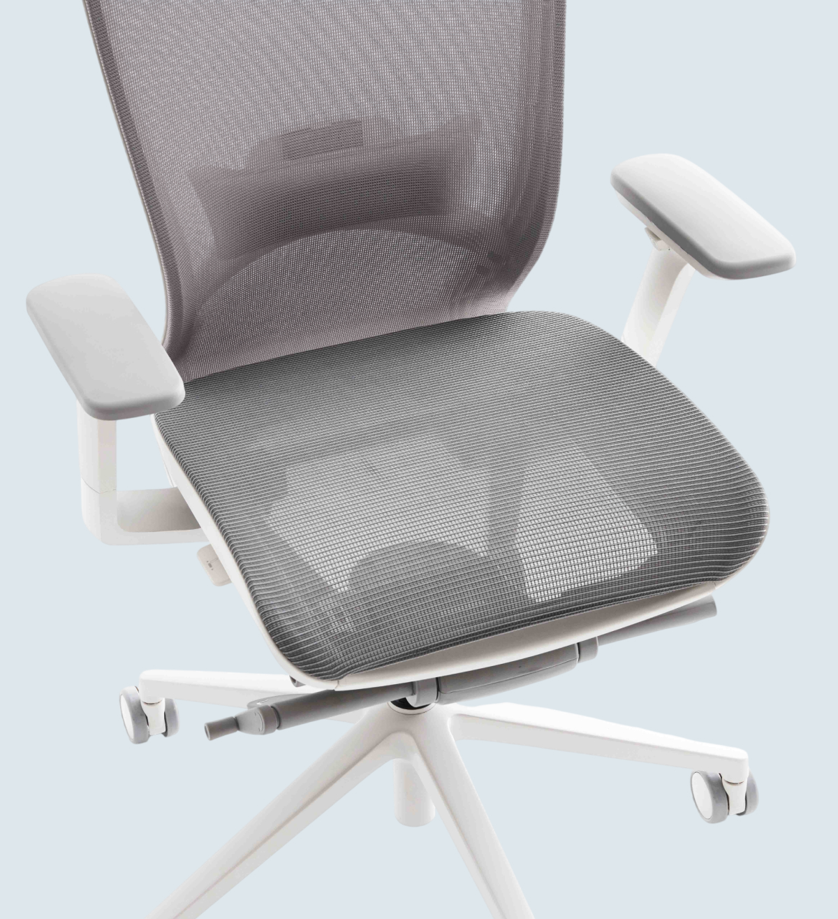Dual Mesh1